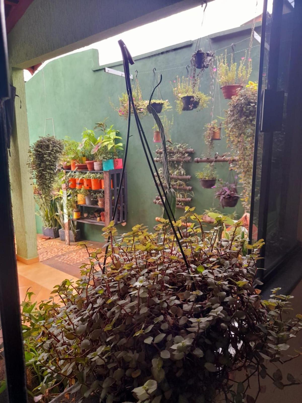 Verdes Hostel Palmas-To المظهر الخارجي الصورة