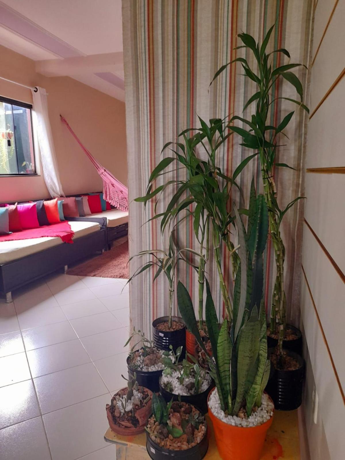 Verdes Hostel Palmas-To المظهر الخارجي الصورة